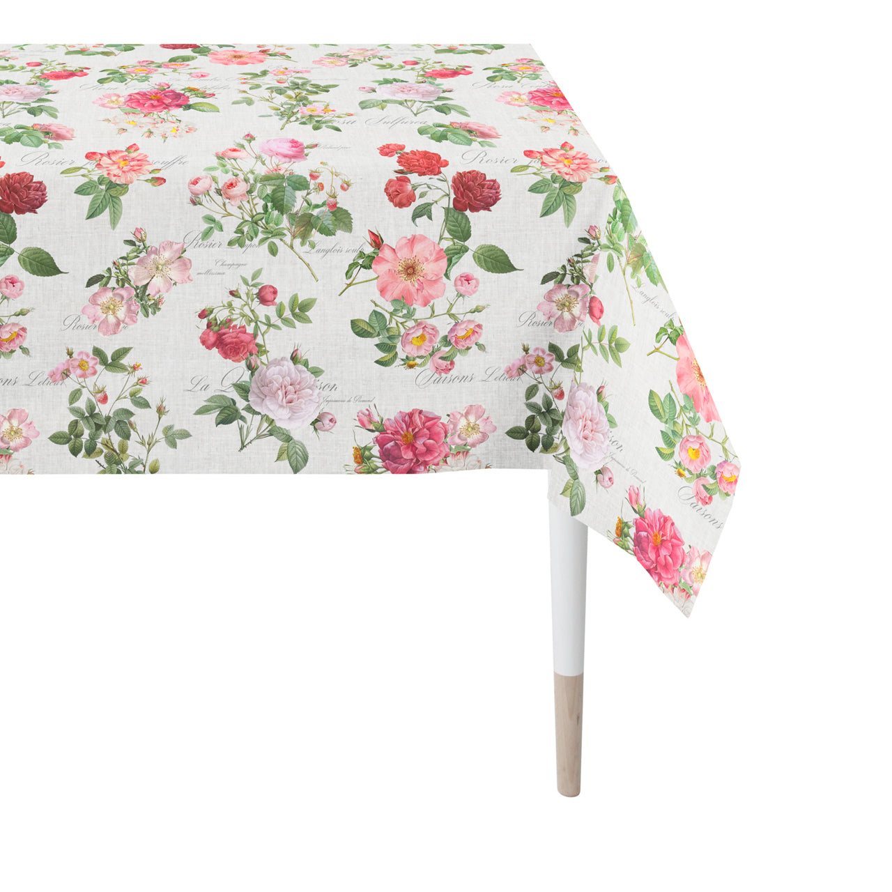 apelt-6527-summertime-tischdecke-englische-teerose-baumwollsatin image 5