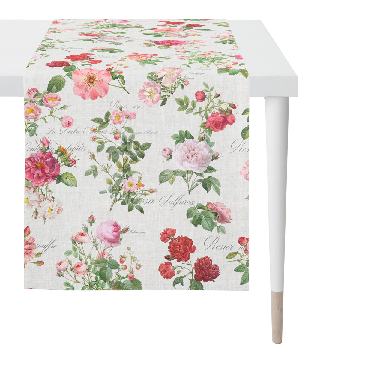 apelt-6527-tischl-ufer-englische-teerose-summertime image 3