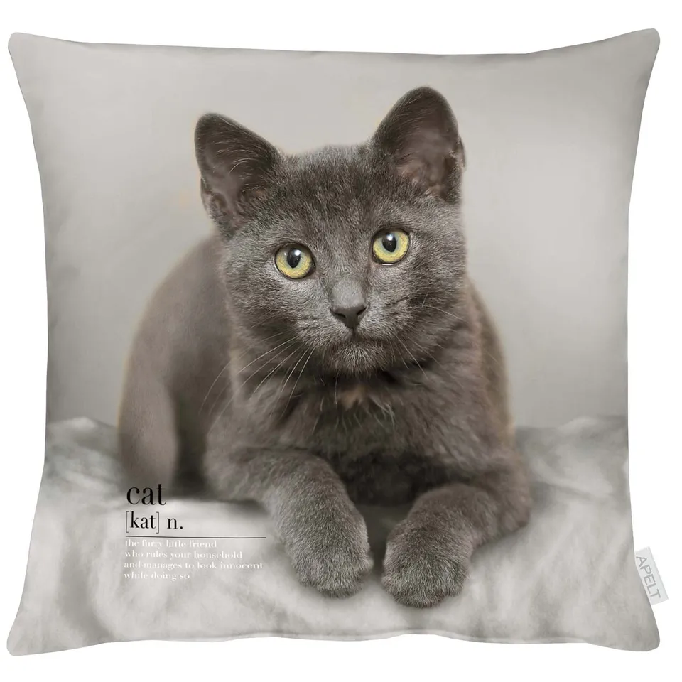 apelt-6870-kissen-katzenmotiv-mit-f-llung image 1
