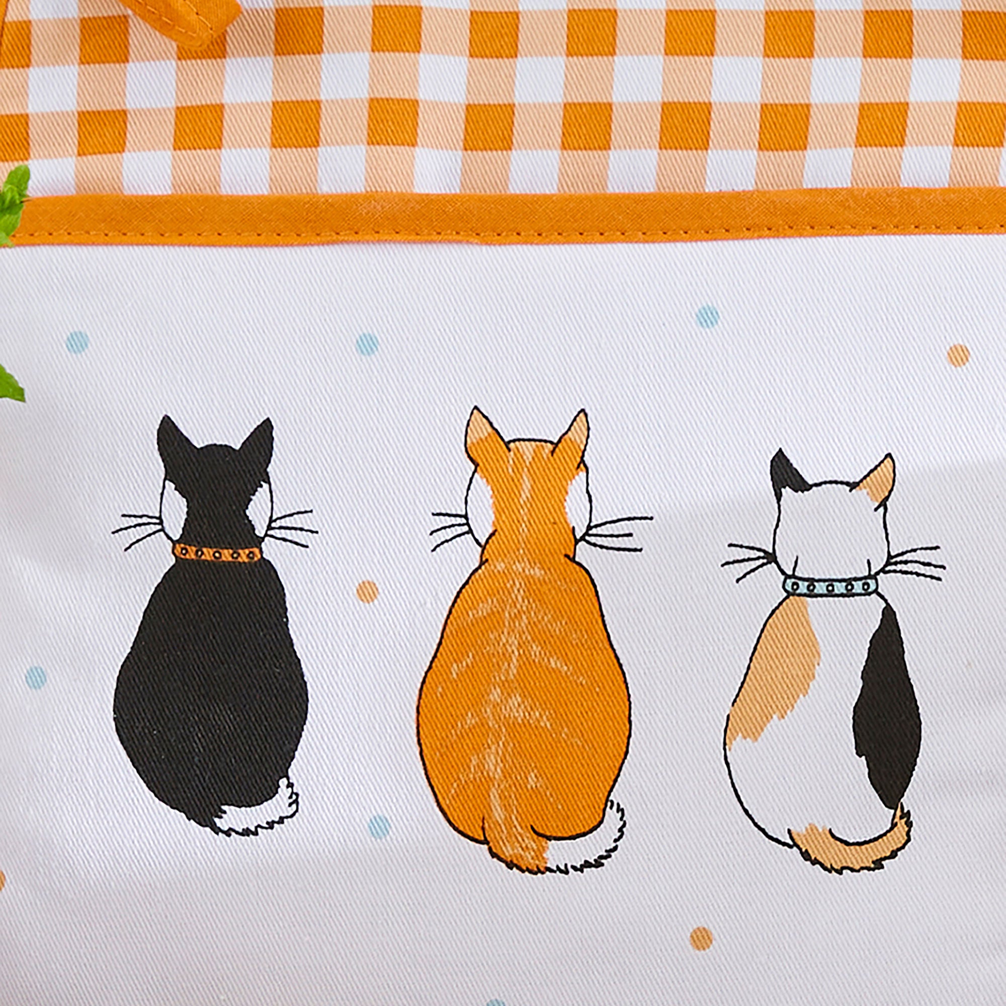 ulster-weavers-cats-in-waiting-2026-topflappen-orange image 4
