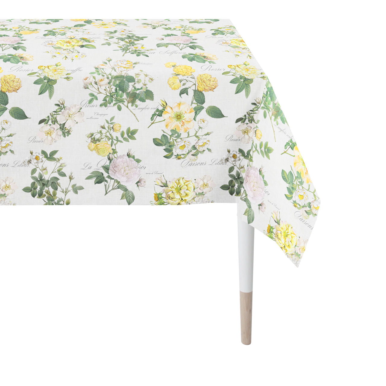 apelt-6527-summertime-tischdecke-englische-teerose-baumwollsatin image 7