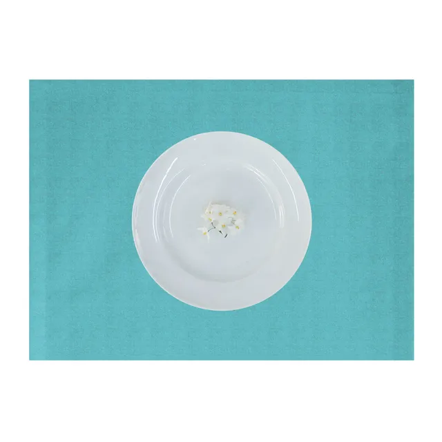 apelt-tosca-tischset-leinen-uni-basic image 1