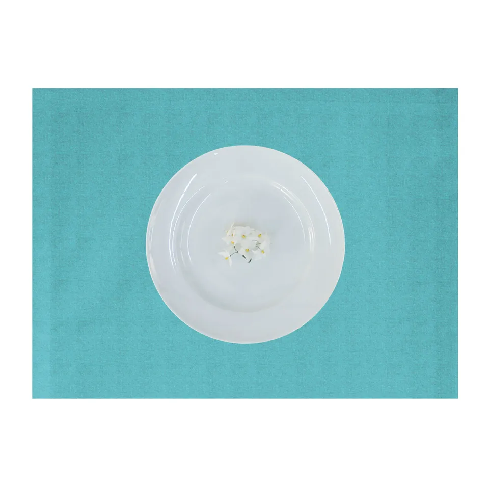 apelt-tosca-tischset-leinen-uni-basic image 1