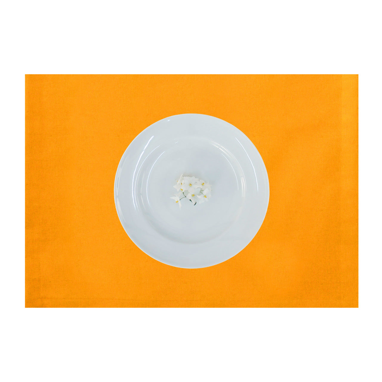 apelt-tosca-tischset-leinen-uni-basic image 4