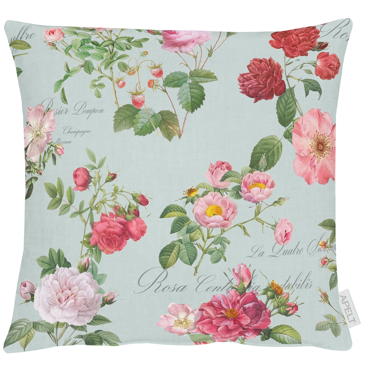 apelt-6527-kissenbezug-summertime-englische-teerose image 3