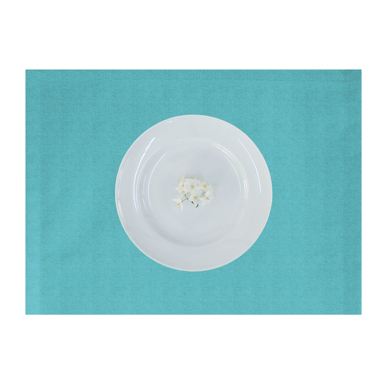 apelt-tosca-tischset-leinen-uni-basic image 1