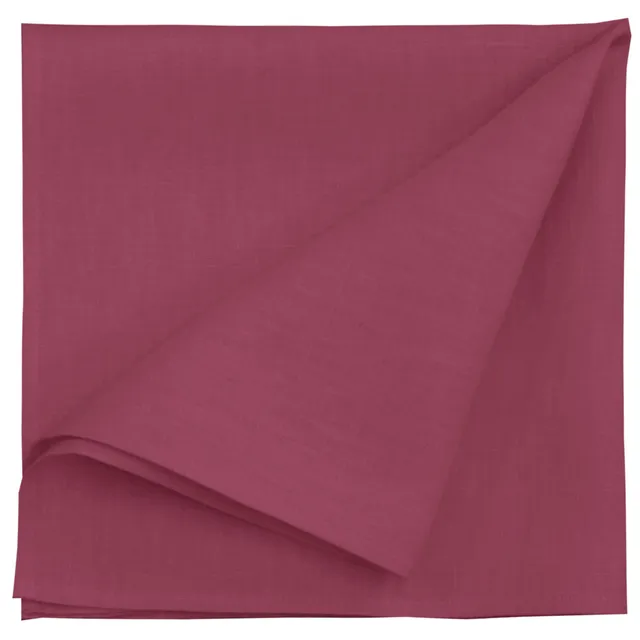 apelt-ascot-serviette-leinen-uni-basic image 1