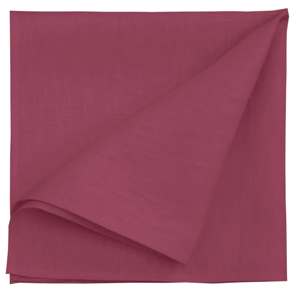 apelt-ascot-serviette-leinen-uni-basic image 1