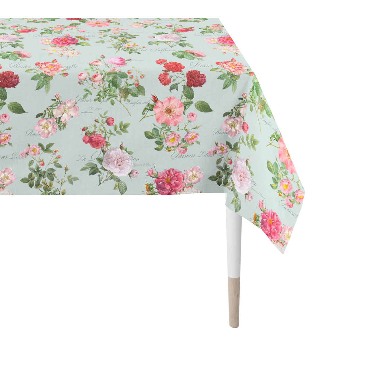 apelt-6527-summertime-tischdecke-englische-teerose-baumwollsatin image 3