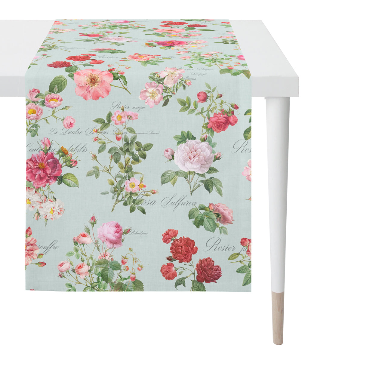 apelt-6527-tischl-ufer-englische-teerose-summertime image 2