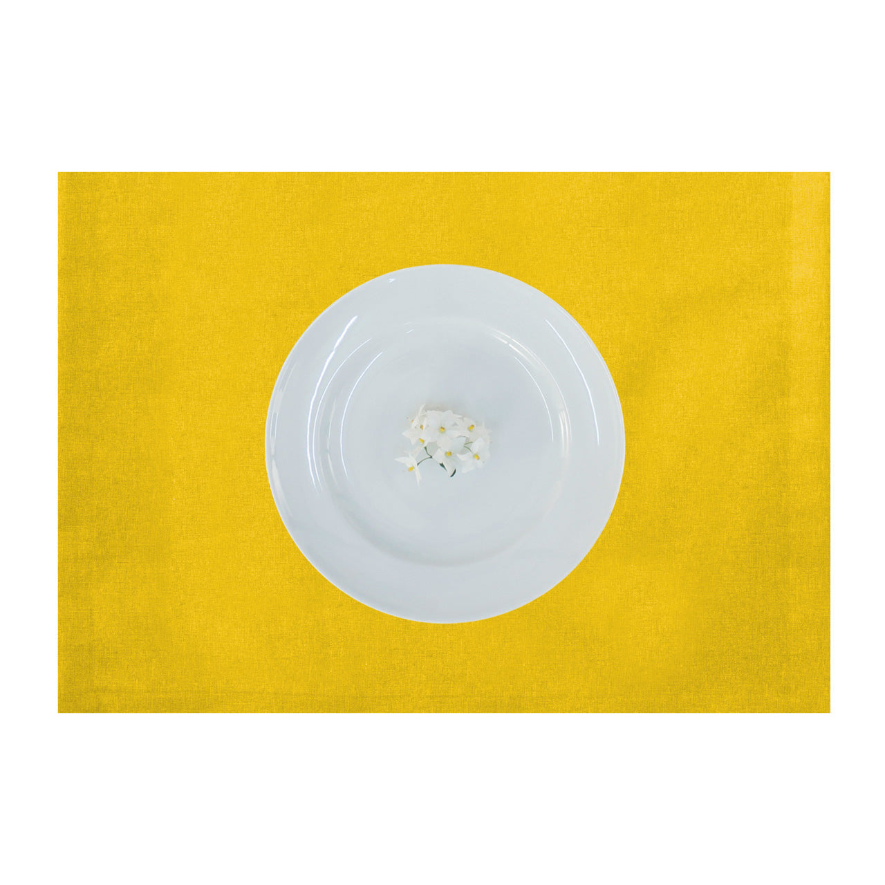 apelt-tosca-tischset-leinen-uni-basic image 3