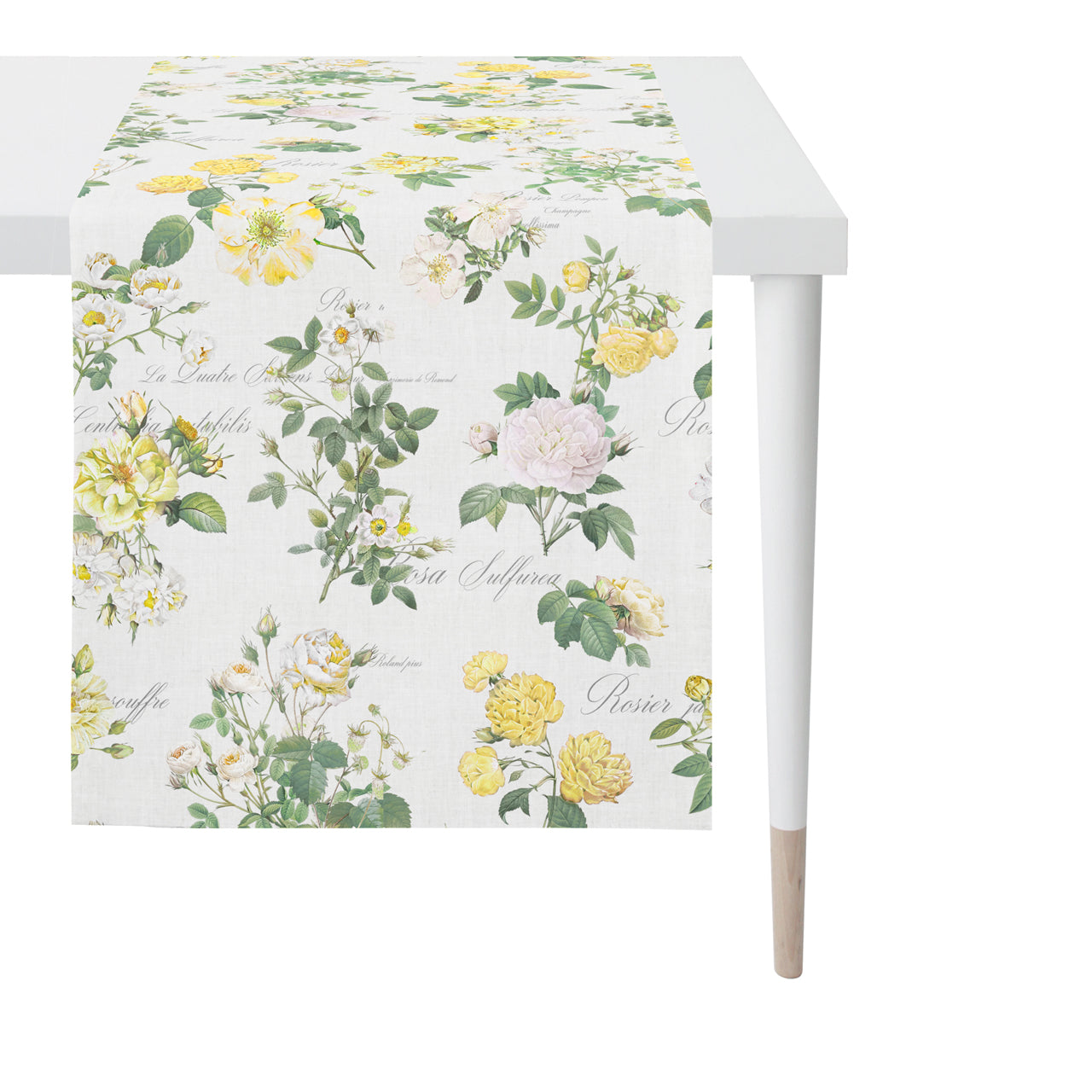 apelt-6527-tischl-ufer-englische-teerose-summertime image 1