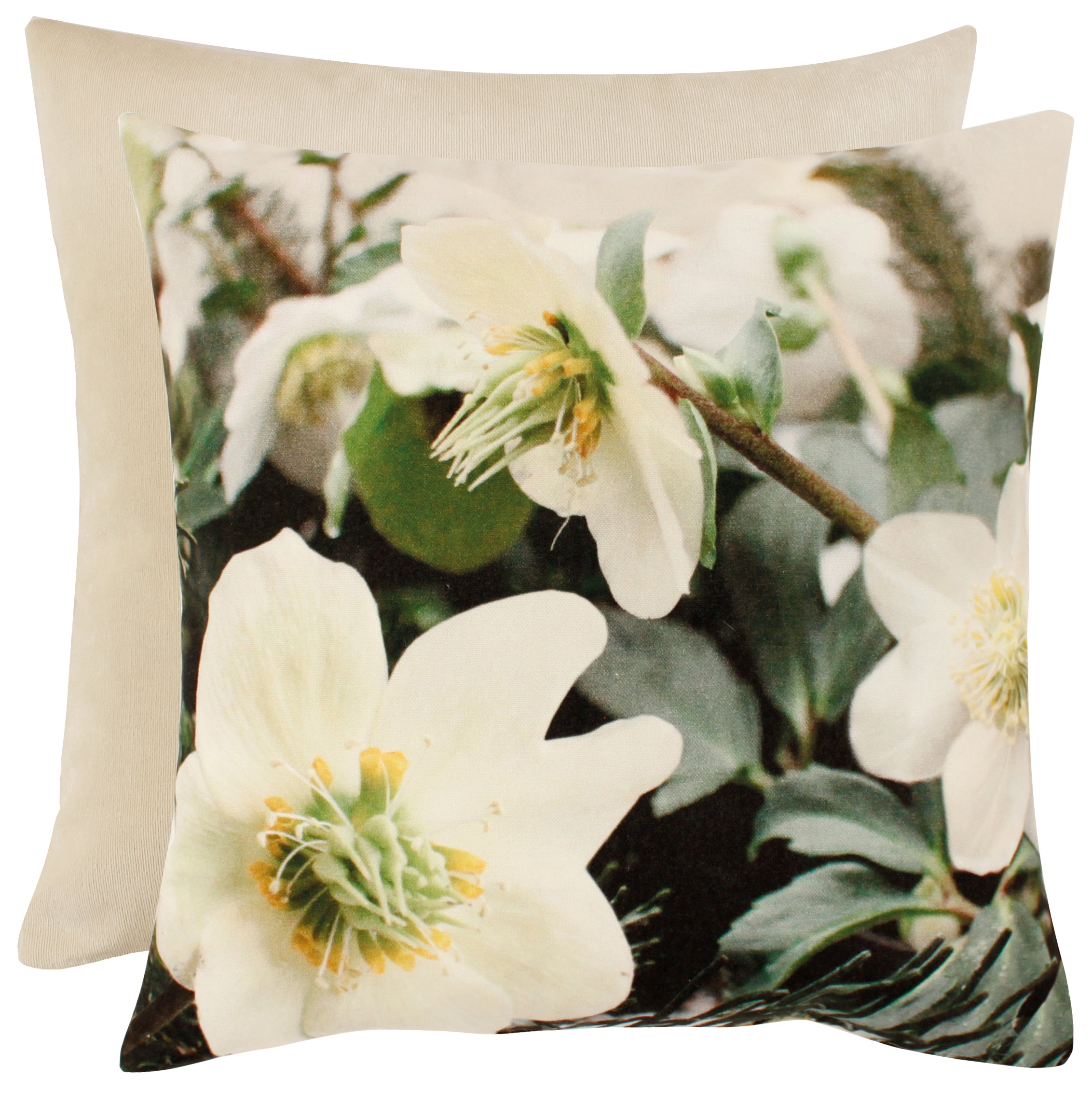 apelt-4917-kissen-edle-christrose-mit-uni-samt-r-ckseite image 1